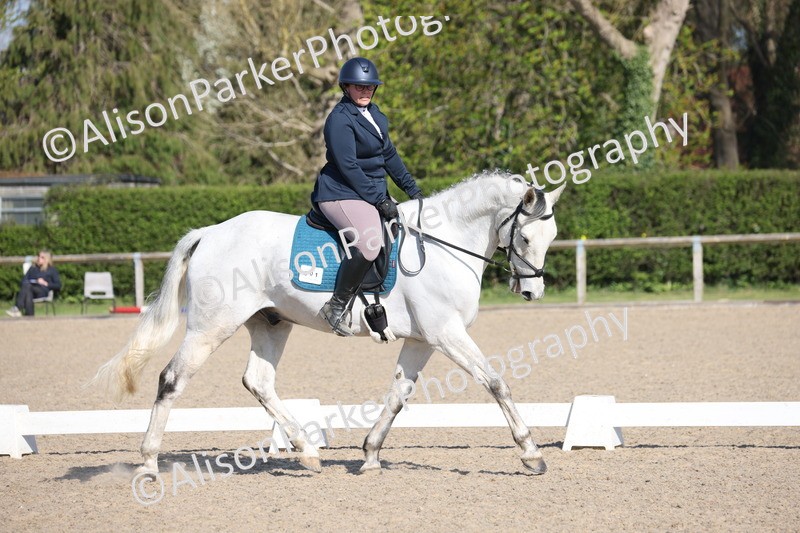 20250405-0204 - Class 11 - My Quest Novice 3