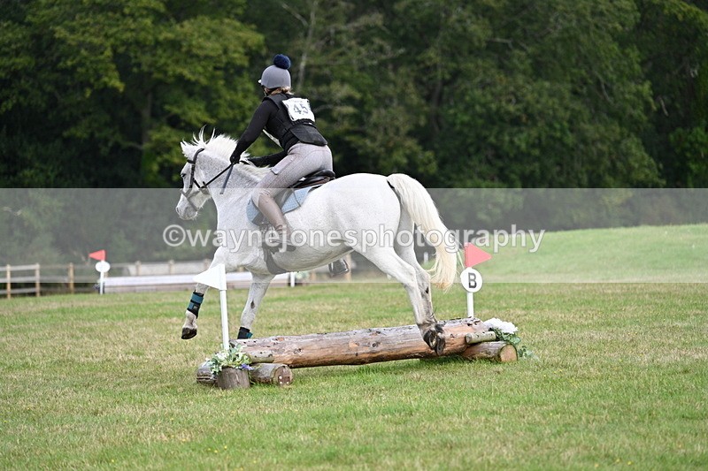 WJ7_7972 - 40cm Time 10:49 to 11:18