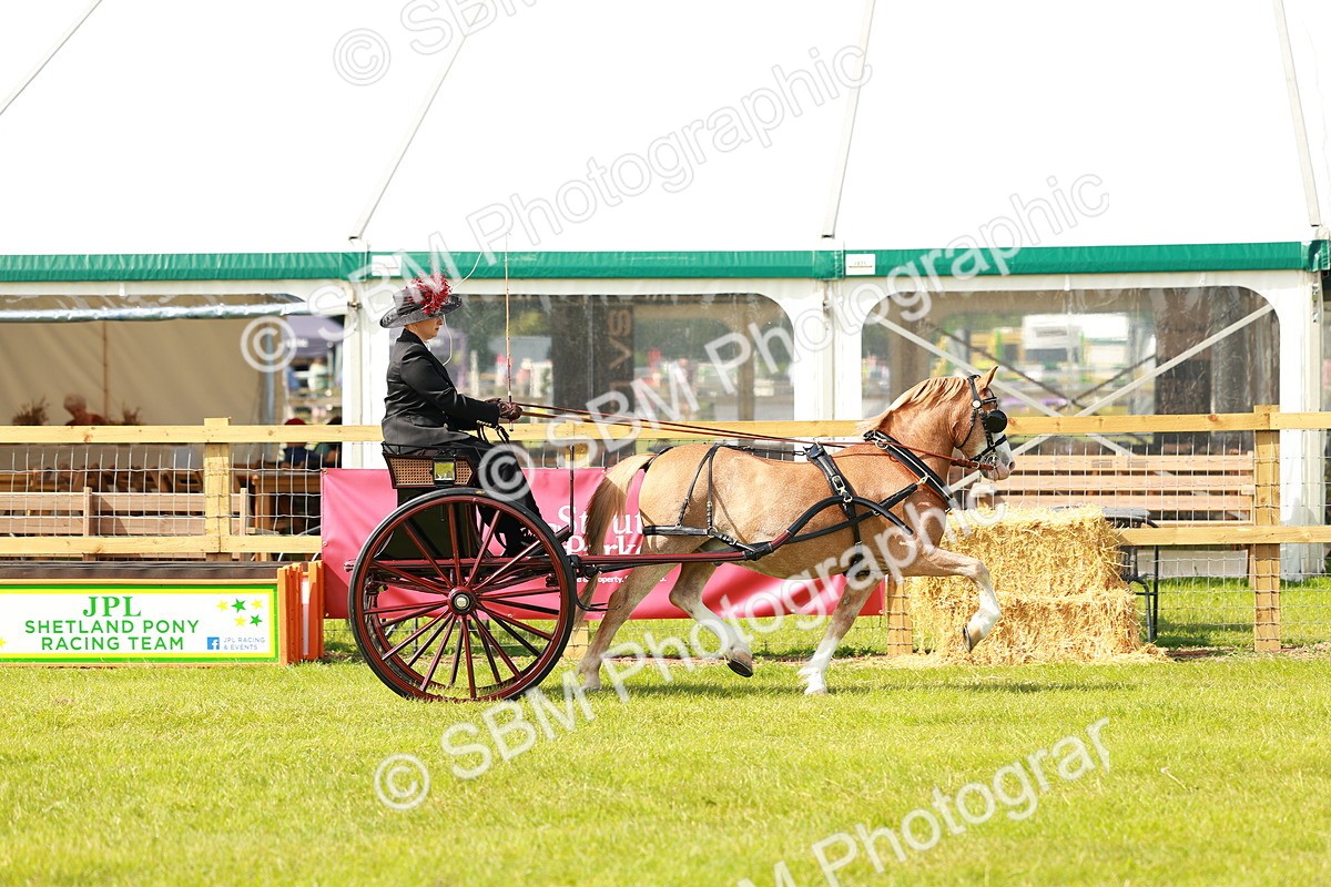 SBM_02573 - Class 2-4 - HOYS Private Driving