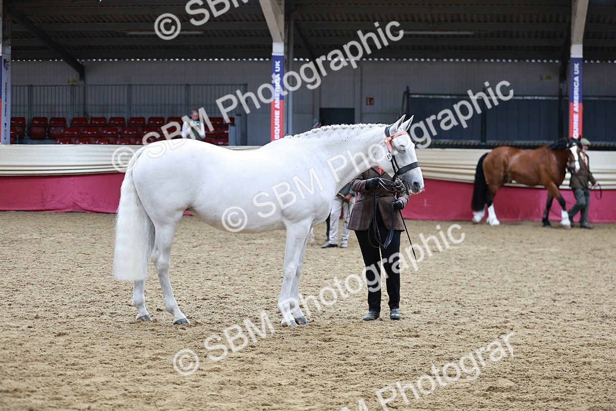 SBM_01239 - Class 3A - Area IH Pre-Vet