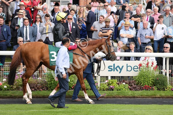 yr20082021r2-13 - Race 2 2.25pm Weatherbys Hamilton Lonsdale Cup (British Champion Series race)
