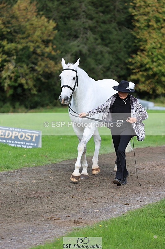 251026A-120709-25895 - G-522-Sue.Parkes Inc Trot Up