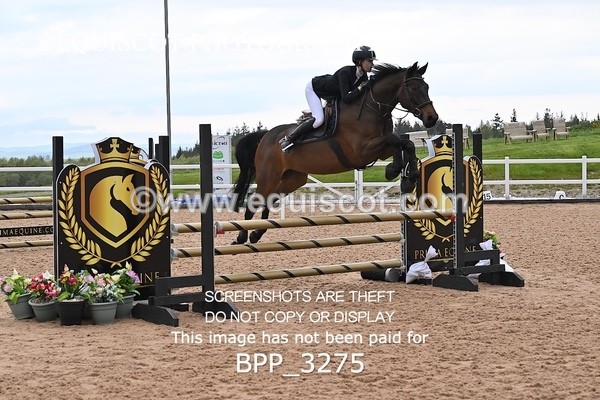 BPP_3275 - CLASS 13 - SAT - SENIOR BRITISH NOVICE / 90CM OPEN
