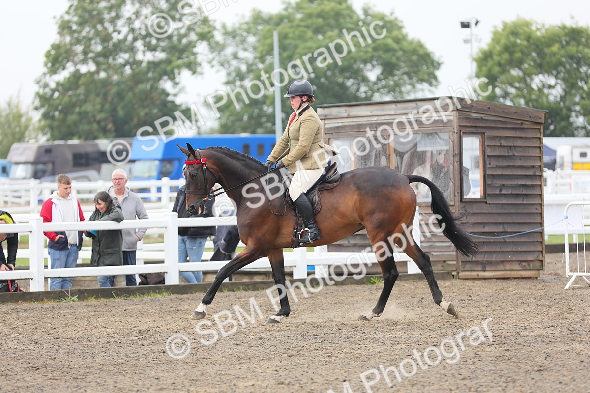 SBM_21320 - Class 805 - Ridden Veteran Horse