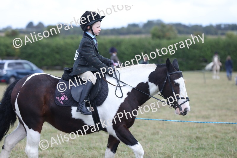 20250831-4203 - Class 20 - Ridden Coloured