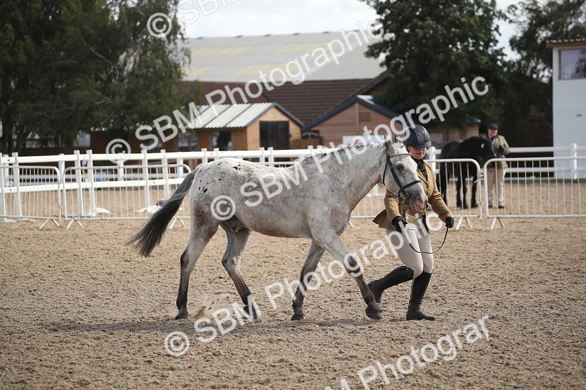 SBM_23431 - Class 604 - 2026 - Area IH Diamond