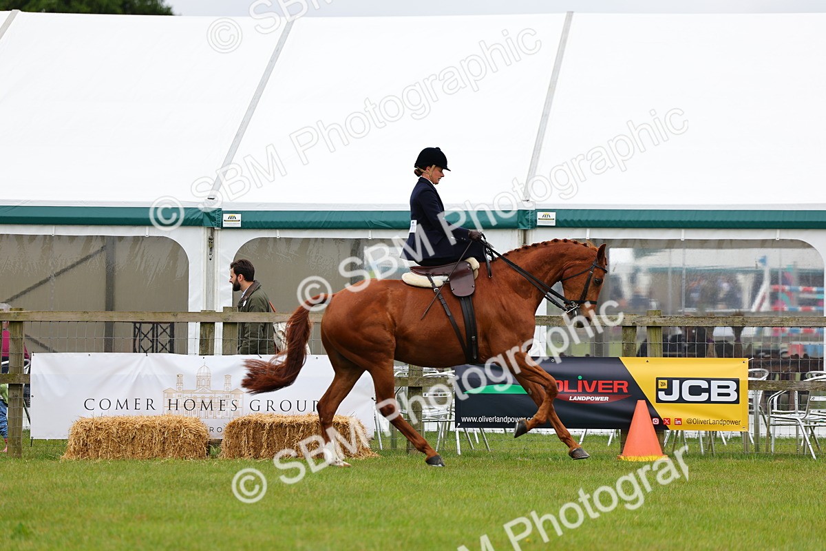 SBM_02952 - Class 9-11 Side Saddle including LIHS Rising Star Ladies Show Horse