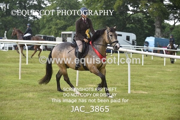 JAC_3865 - 65cm WORKING HUNTER