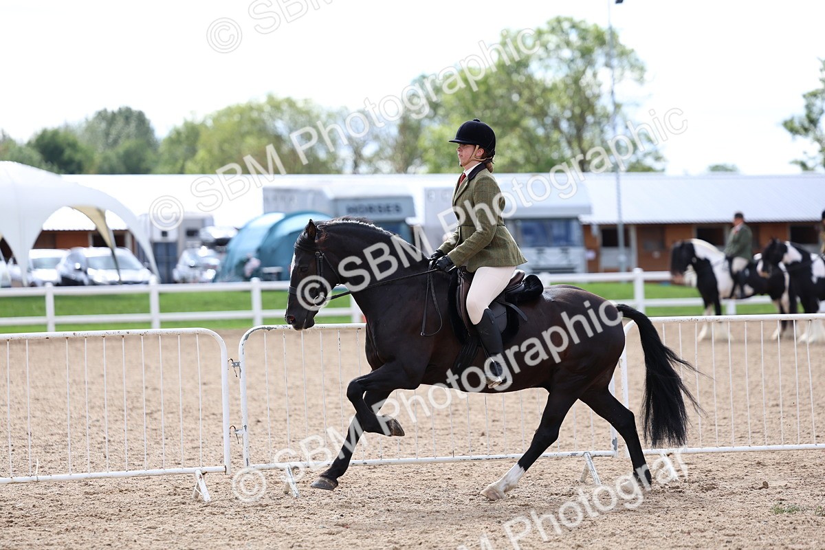 SBM_15801 - Class 314 - Family Horse - Pony