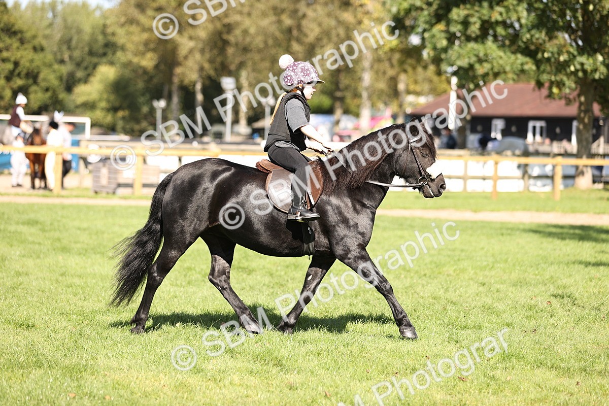 SBM_23085 - S4 - Have a Go at Working Equitation