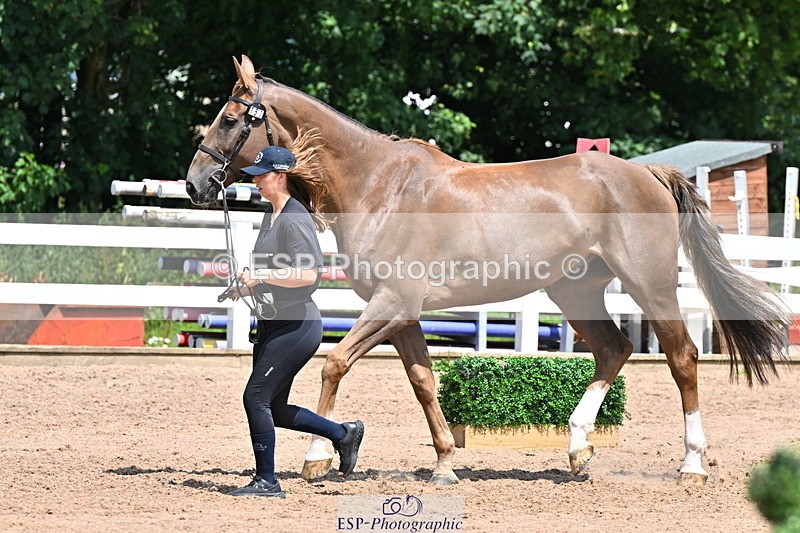 240718A-105311-01667 - Trot Up 1pm to 2pm