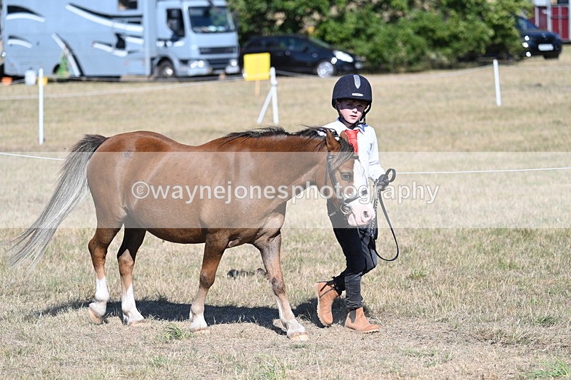 WJ7_2071 - Class 44 Child's Best Friend