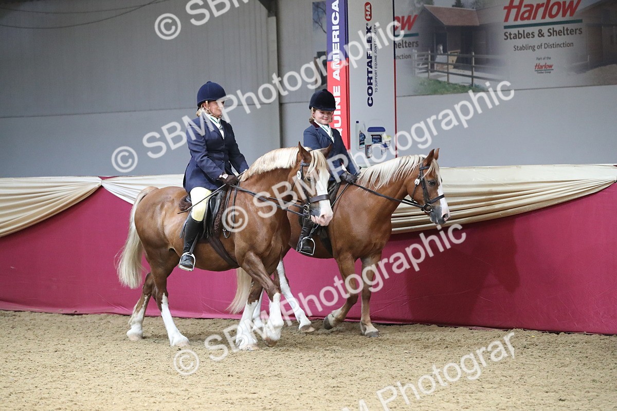 SBM_13625 - Class 109 Ridden Pairs - Section B