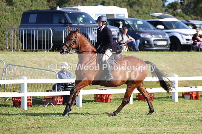 3E7A5406 - Class 2: Rising Star Large Hack/Riding Horse