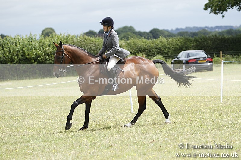 BVR160717-1817 - Ring 3 BVRC Show 16/07/17