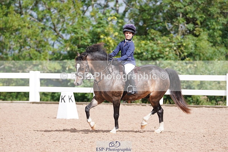 240809A-100024-00392 - Dressage Competition