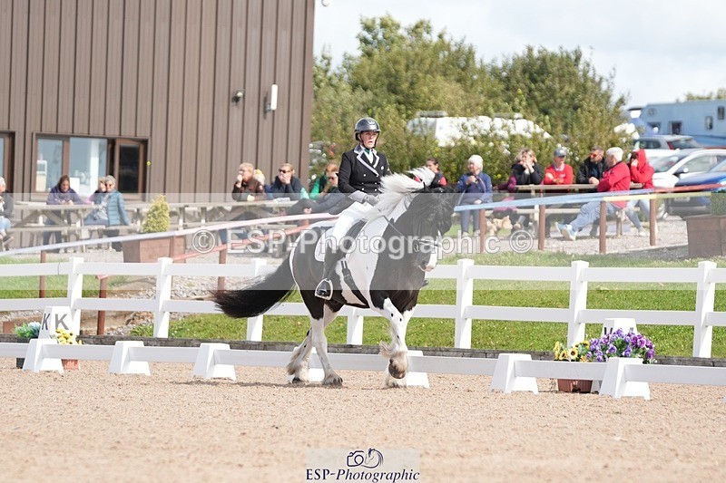 250906-123113-02200 - 014-Katrina.EllisSilverstor.IV