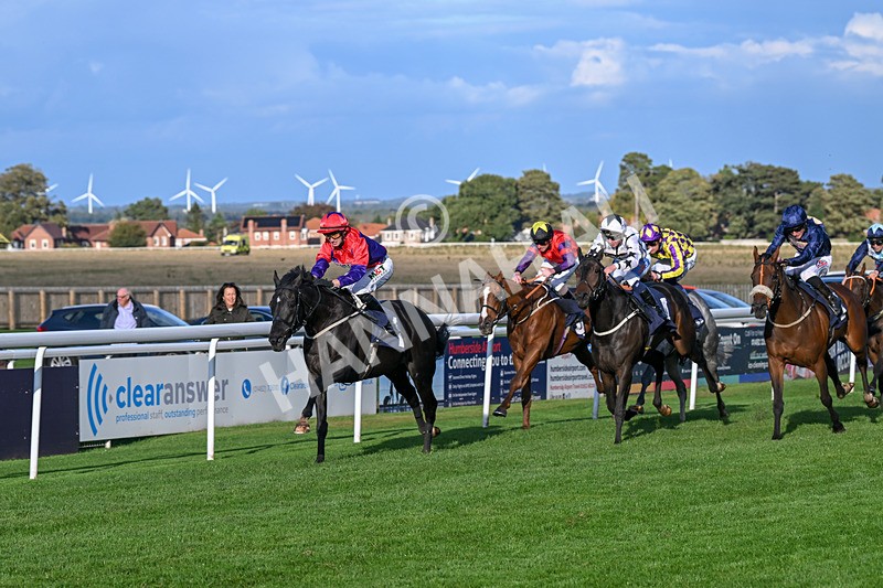 240924-Race 7-It Just Takes Time-6916 - Race 7