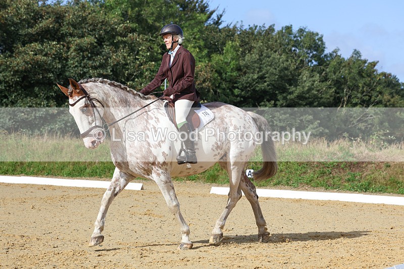 3E7A2384 - Class 1: Intro 4 2024 section A