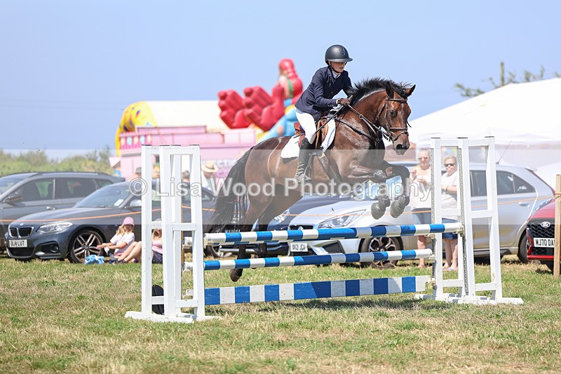 3E7A4446 - Class 10: Senior British Novice/90cm open