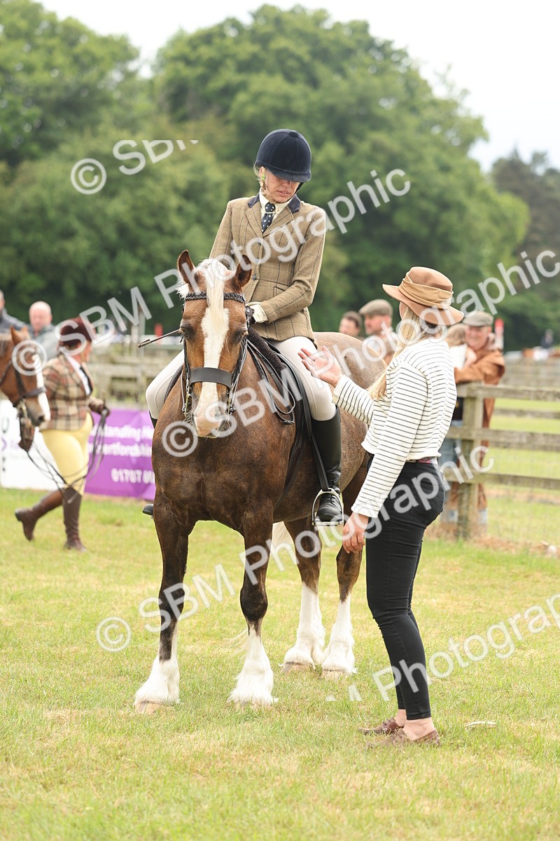 SBM_07221 - Class 76-77 - Ridden M&M Welsh Ponies