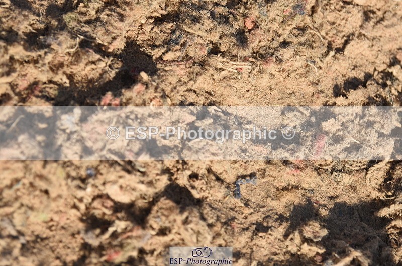 230915A-100008-00128 - Cls 8 85cm Amateur Qualifier