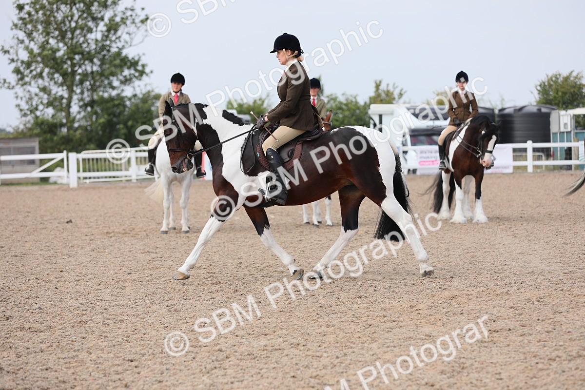SBM_13464 - Class 308 Ridden Coloured Horse
