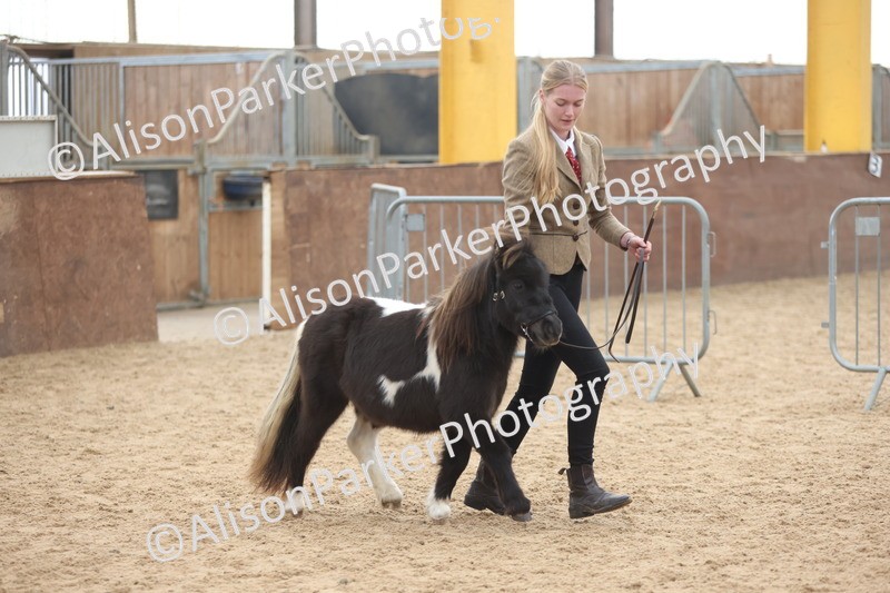 20251109-0197 - Class 10 - Yearling, Colt, Filly or Gelding