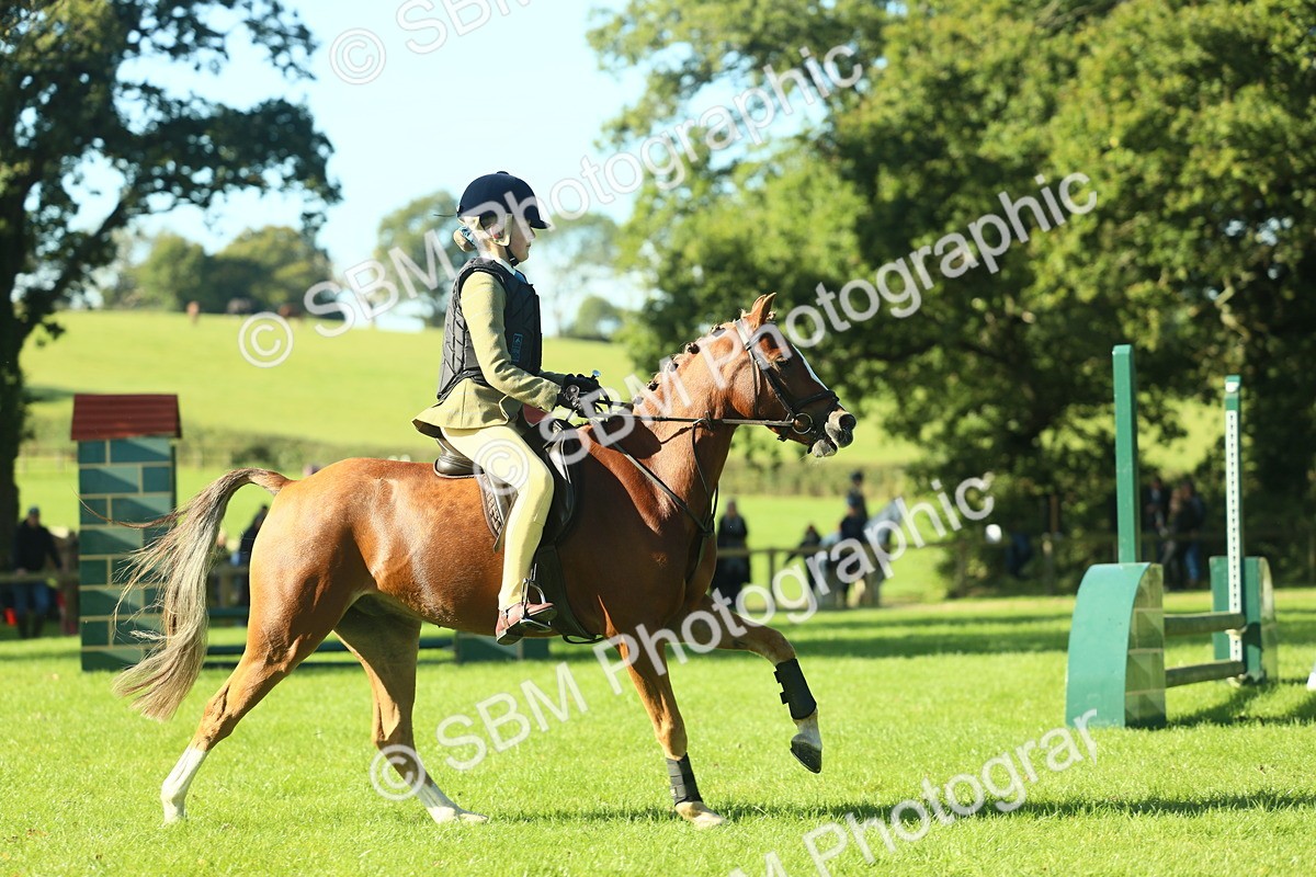 SBM_36424 - S29 - Novice & Newcomers Working Hunter Pony