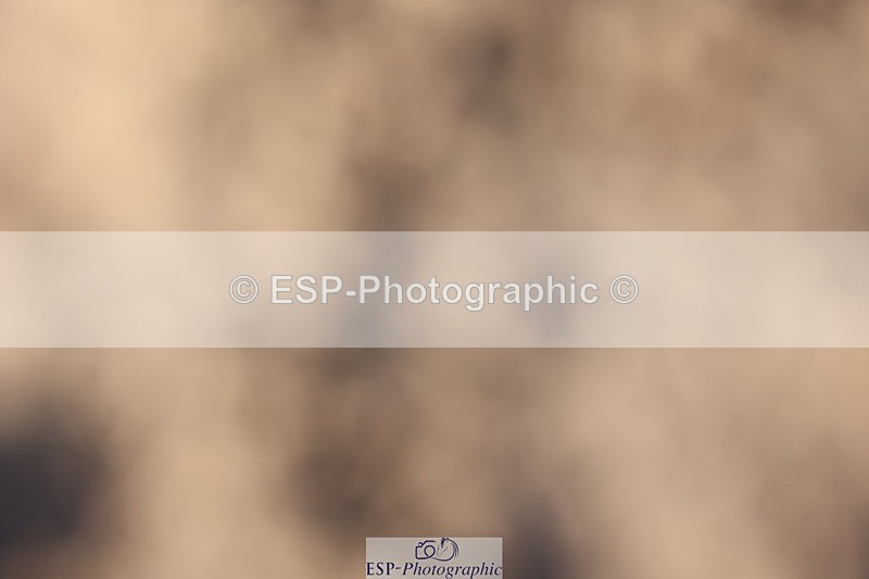 241201X-115526-00962 - Classes 06-09 Jnr 110-115-120-125