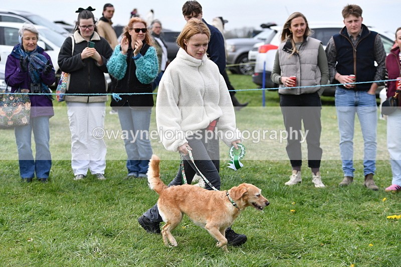 WJ5_9431 - Class 1 Best Cross Breed / Heniz 57