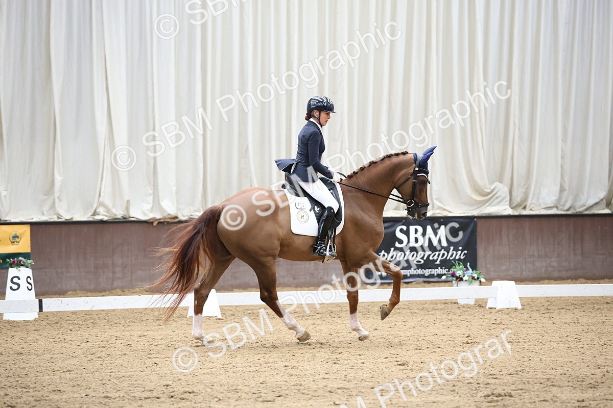 SBM_002916 - Class 5 - Novice 6 Gold - 10.24-11.30