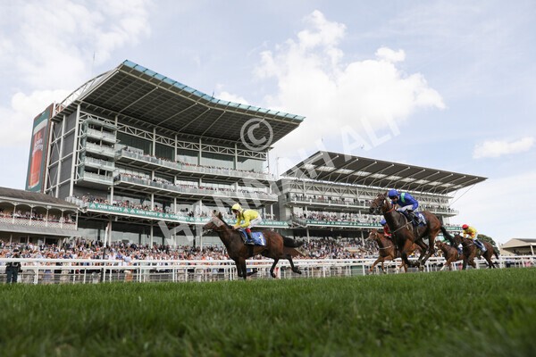 yr08072022r4-30 - Race 4 3.50pm William Hill Pick Your Places Stakes