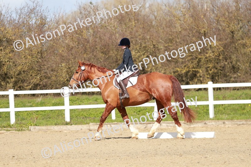 20260314-2923 - DR3 - Prelim 1