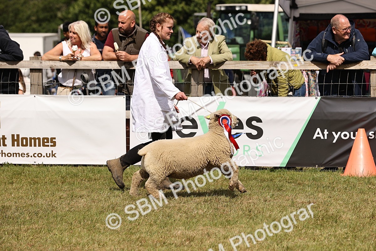 SBM_16841 - Grand Parade