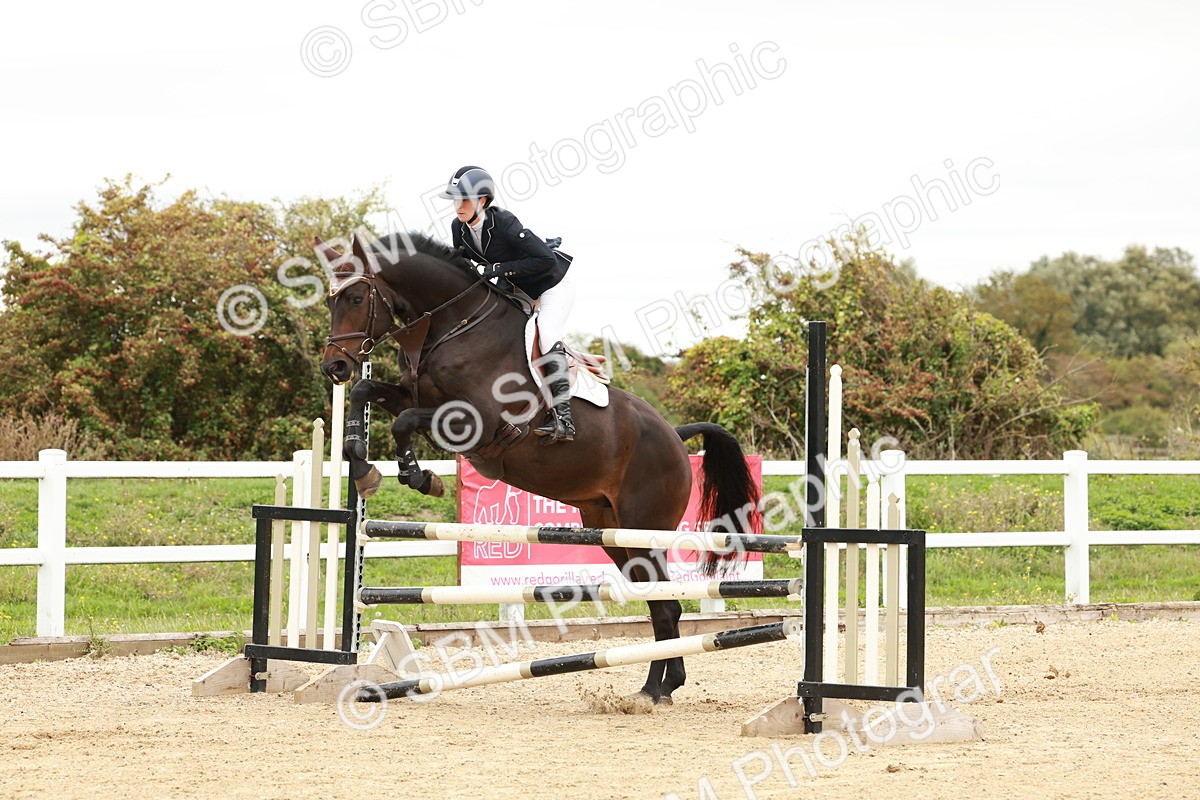 1I0A6844 - Class 2 - Senior British Novice