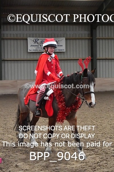 BPP_9046 - CLASS 3 50CM-70CM Pairs Show Jumping