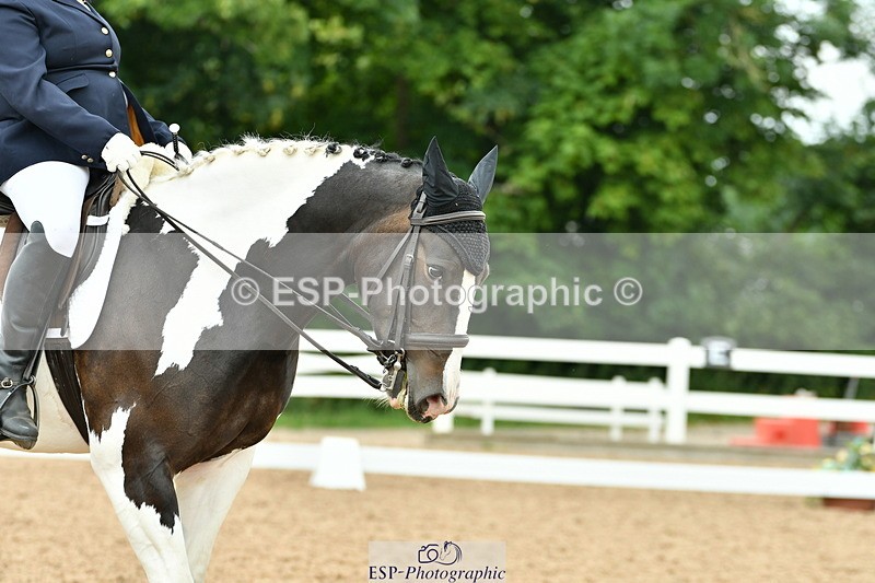 230701A-125505-05848 - Cls 7 Elementary 45