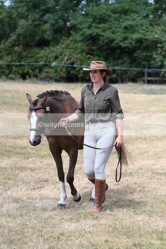 WJ7_2084 - Prettiest Mare Champs