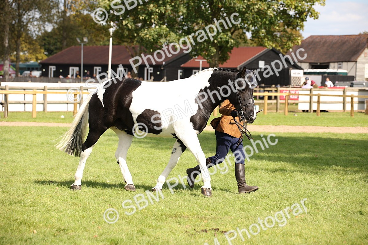 SBM_44500 - S24 - Young Veteran in hand