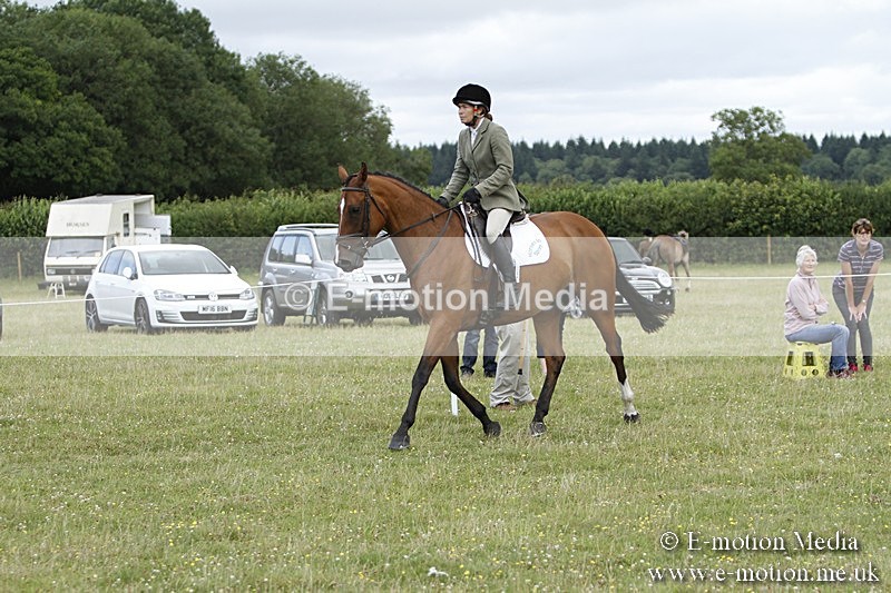 BVR160717-1786 - Ring 3 BVRC Show 16/07/17