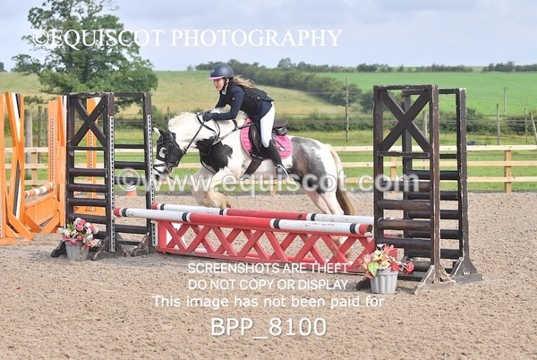 BPP_8100 - CLASS 11 SUN  Club/ Unaffiliated 60cms Open