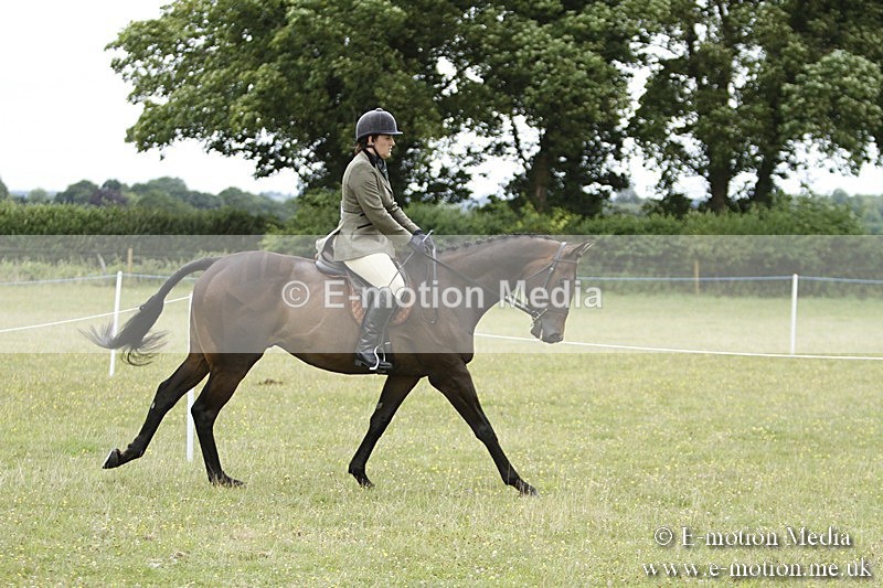 BVR160717-961 - Ring 3 BVRC Show 16/07/17
