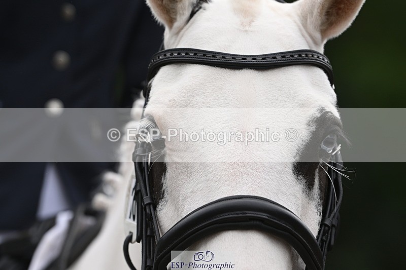 250719A-142908-06369 - 131-Angie.Jacobs-Tantoni.Bulgari