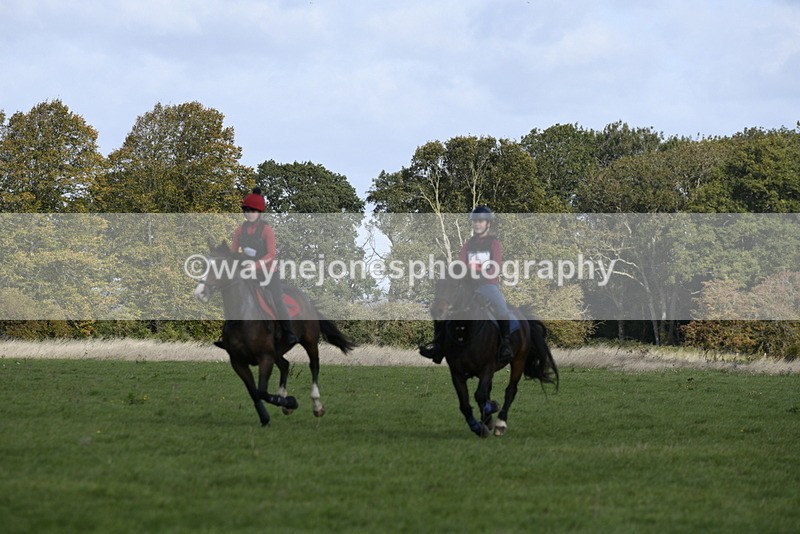 _DSC5948 - Time 11:23 to 12:05