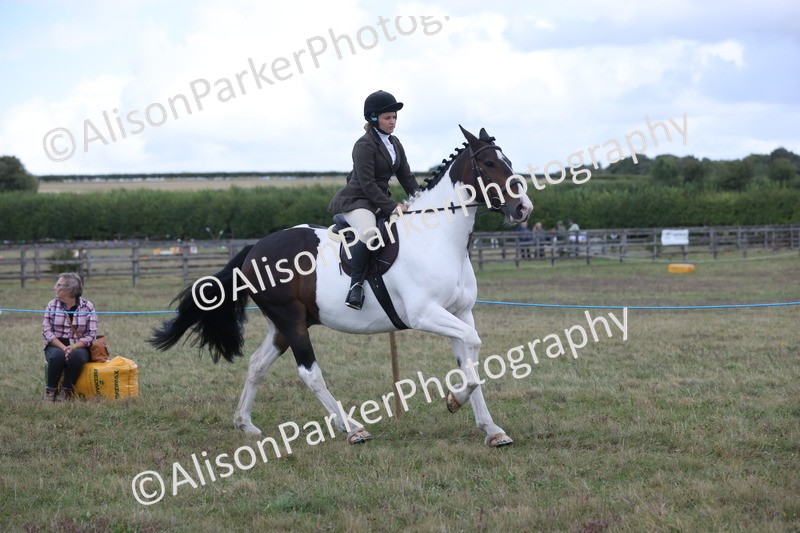 20250831-4242 - Class 20 - Ridden Coloured