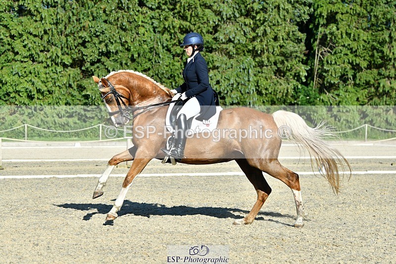 230623-181615-03202 - Cls 11 FEI PSG