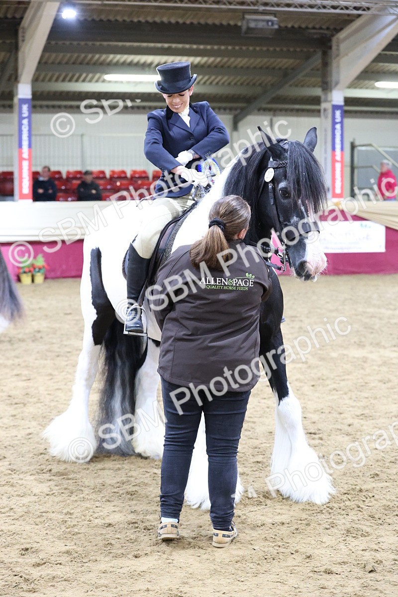 SBM_20192 - Class C - Novalty Champ