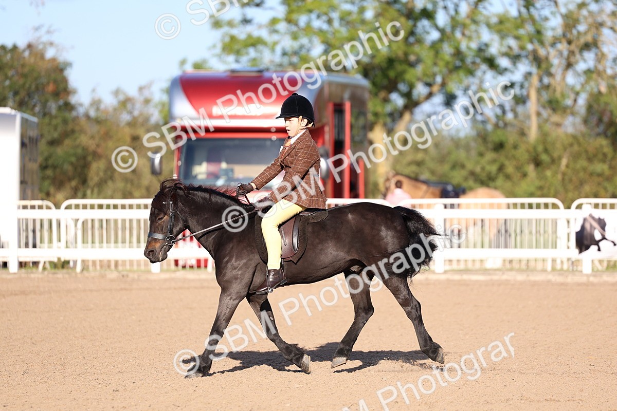SBM_07815 - Class 301 - Ridden M&M - Small Breeds
