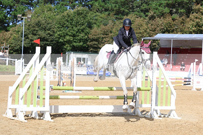 3E7A9403 - Class 9: Senior British Novice/90cm open